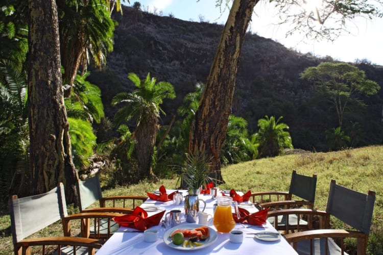 Lewa Safari Camp - Bush Breakfast